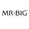 Mr. Big